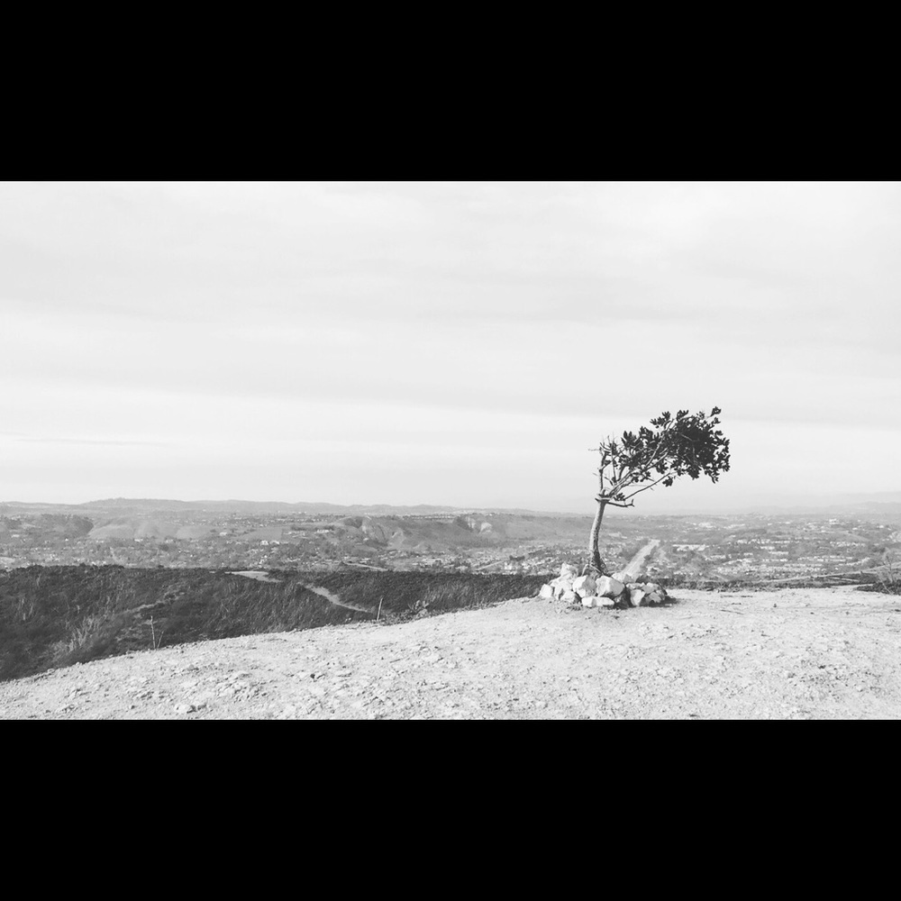 Meet your Posher, Joanne